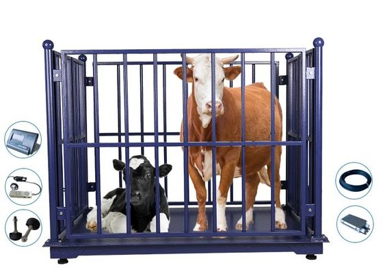 جودة  ZEMIC 3 Tons Digital Cattle Weighing Scales With ODM مصنع
